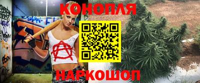 эйфоретик Жуковский