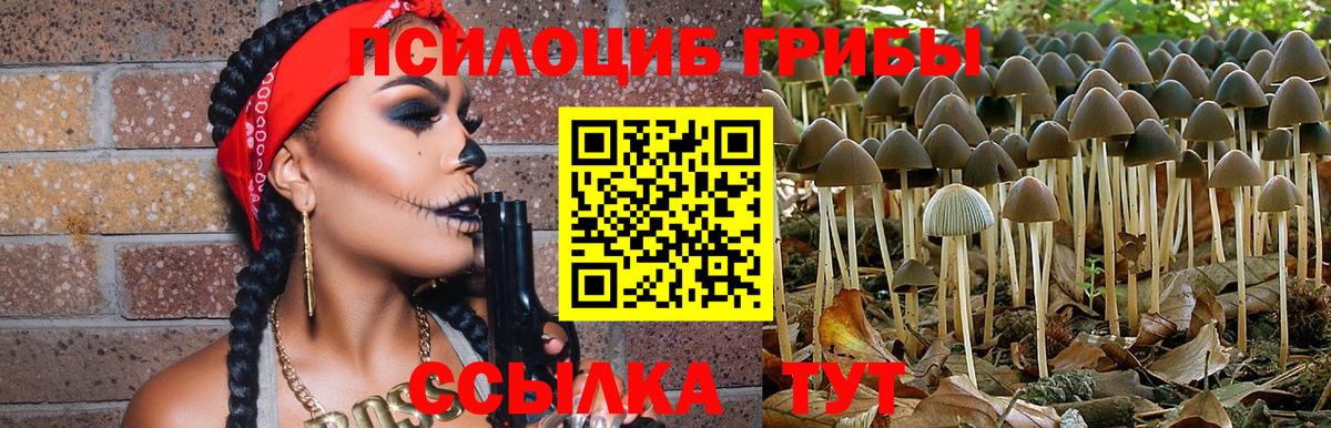 Псилоцибиновые грибы мицелий Егорьевск